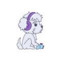 Schnoodle Studio LLC